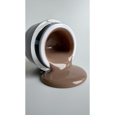 Pink House Гель д/наращ Old Money 06 (15мл)