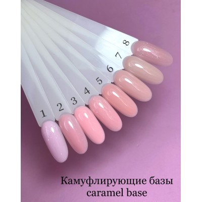 Biomi Caramel base №06