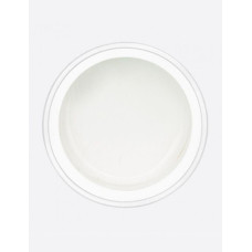 Pink House Гель-краска ПАУТИНКА Белый (баночка)